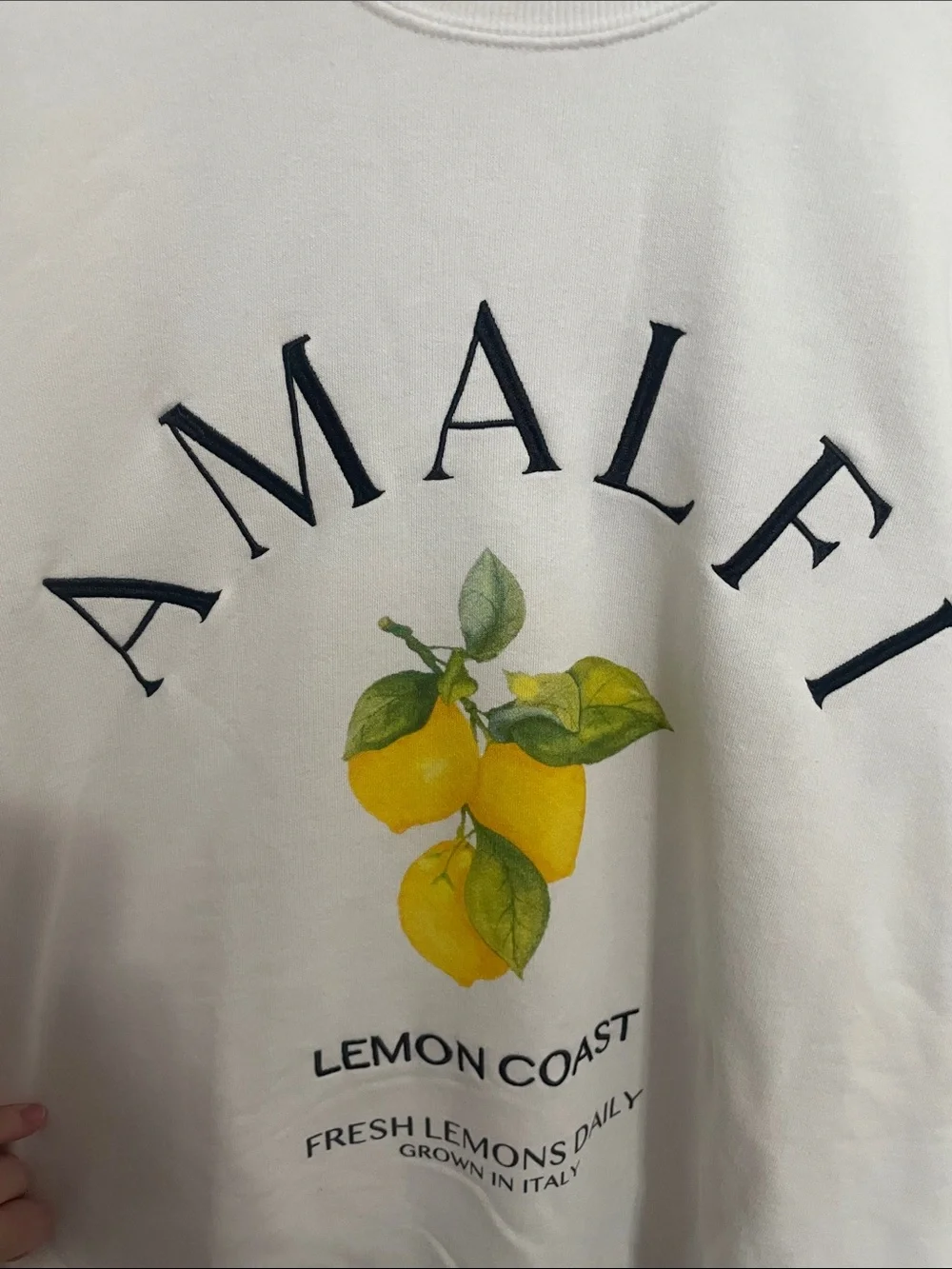 Wild Fable Amalfi Lemon Coast Oversized Sweatshirt XXL White Crewneck - Picture 4 of 8